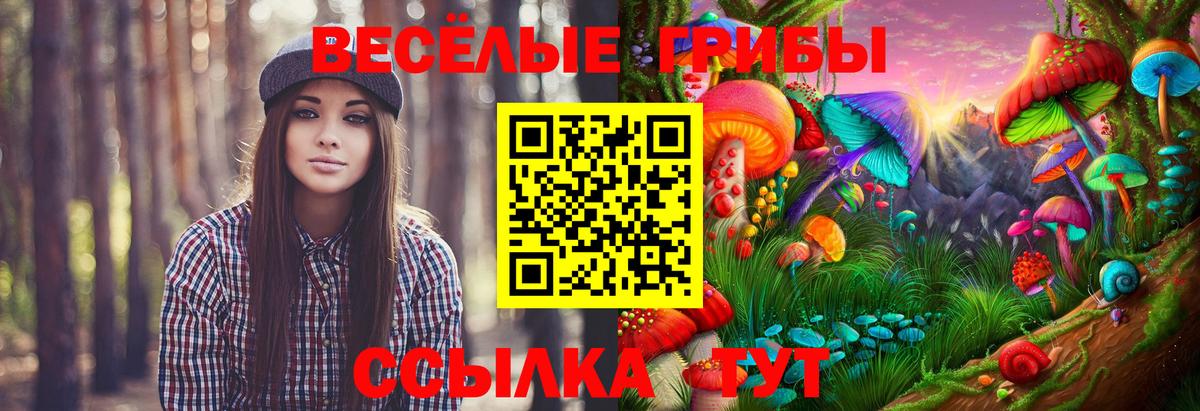 Киров  Галлюциногенные грибы мухоморы  Вход с VPN 