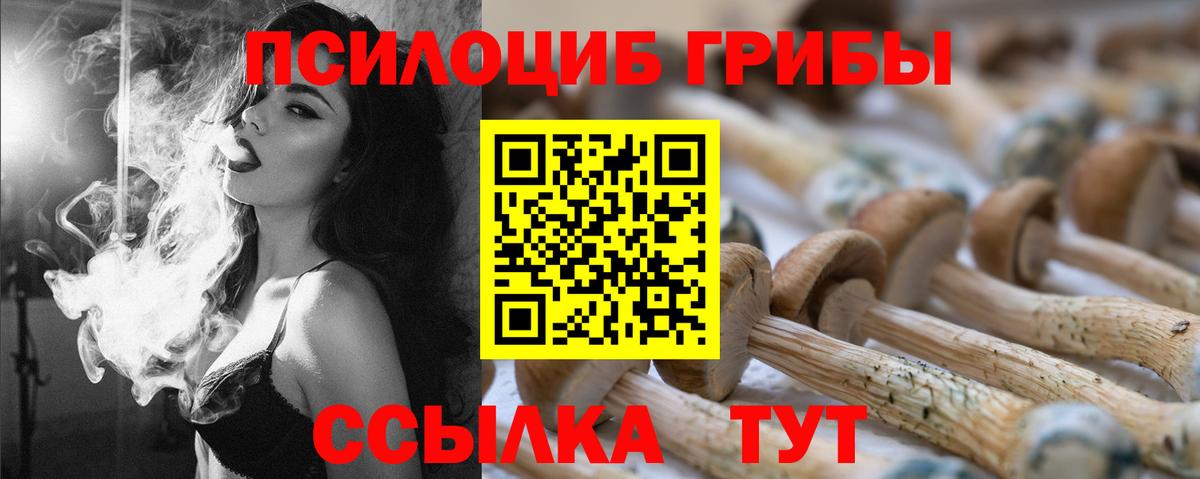 Галлюциногенные грибы мухоморы Киров